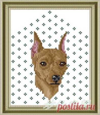 пинчер карликовый машинная вышивка: 21 тыс изображений найдено в Яндекс.Картинках