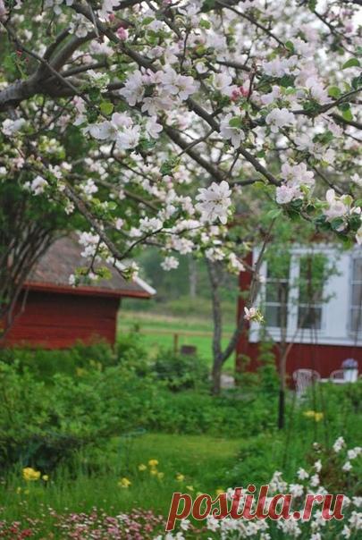 Счастье, как и весна, каждый раз меняет свой облик.

Андре Моруа