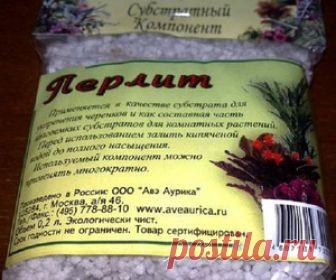 Перлит для растений: что это такое, преимущества и недостатки минерала, особенности использования Что представляет собой перлит, его характеристика, свойства. Достоинства и минусы вещества. Использование этого минерального вещества для растений, как его ещё можно использовать.