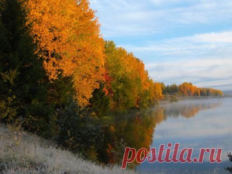 ПРО ВСЁ И ОБО ВСЁМ.
Юрий Власов