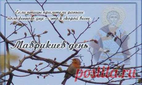 Праздники и приметы на 7 марта 2018 года Маврикиев день. Народный праздник «Маврикиев день» отмечается 22 февраля по старому стилю (по новому стилю - 6 марта (високосный год) или 7 марта (невисокосный год)). В церковном календаре это день почтения памяти святого Маврикия и 70 воинов, мучеников Апамейских.