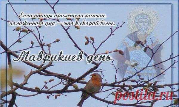 Праздники и приметы на 7 марта 2018 года Маврикиев день. Народный праздник «Маврикиев день» отмечается 22 февраля по старому стилю (по новому стилю - 6 марта (високосный год) или 7 марта (невисокосный год)). В церковном календаре это день почтения памяти святого Маврикия и 70 воинов, мучеников Апамейских.