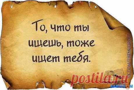 мудрые высказывания про тех кто ищет неприятности: 10 тыс изображений найдено в Яндекс.Картинках