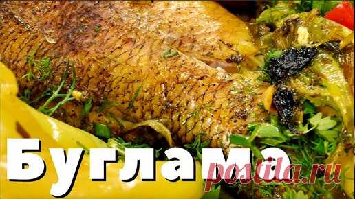 Сталик Ханкишиев  | Что приготовить из рыбы? Самое вкусное блюдо из судака - азербайджанская буглама!