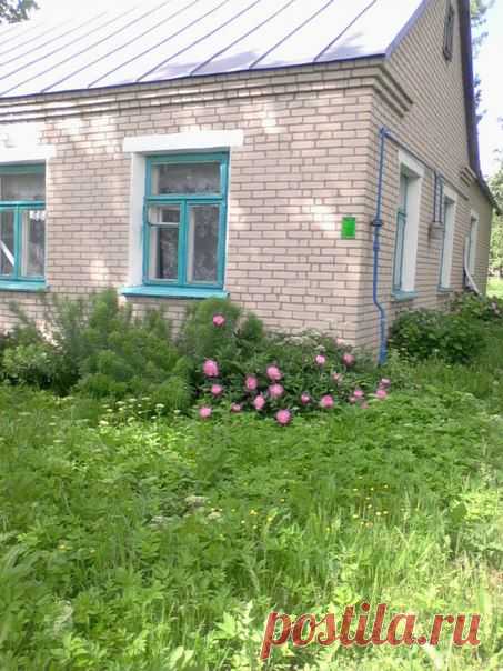 Людмила Поляковалепешко