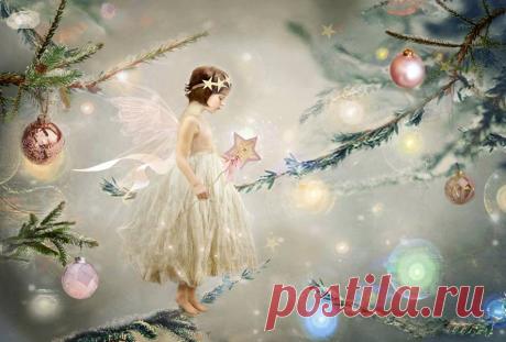Charlotte Bird Fairy Photographer - Фото