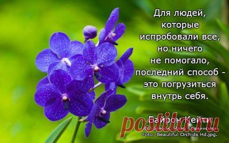 Людмила: Все, что не делается-все к лучшему!!! Было хорошо, станет еще лучше!!!!!