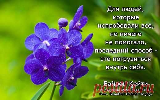 Людмила: Все, что не делается-все к лучшему!!! Было хорошо, станет еще лучше!!!!!