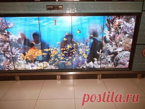 Поездка в Тайланд на остров Чанг (пляжный отдых) - liudm.se2012 — я.ру