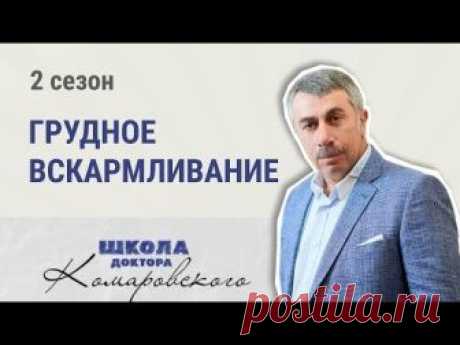 Грудное вскармливание новорожденного ребенка. Первое вскармливание, стул, прикорм и отучение от груди. Месячные во время лактации