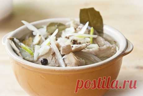 Грибы вешенки, маринованные на зиму: очень вкусные рецепты быстрого приготовления маринованных вешенок