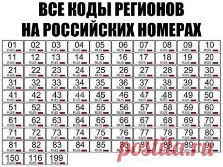 (57) Одноклассники