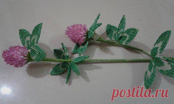 мк клевер | 18 фотографий