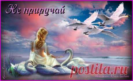 НЕ ПРИРУЧАЙ. Музыка Любови Пузиковой, слова Ирины Стефашиной, исполняет Лауреат международных вокальных конкурсов Юлия Гридина