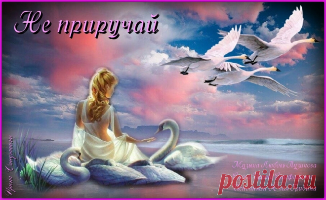 НЕ ПРИРУЧАЙ. Музыка Любови Пузиковой, слова Ирины Стефашиной, исполняет Лауреат международных вокальных конкурсов Юлия Гридина