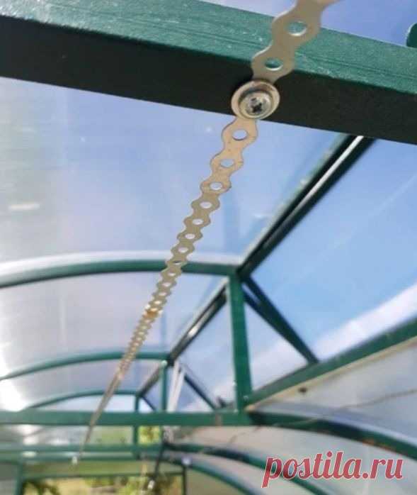 Маленькая хитрость для теплицы Большинство растений, выращиваемых в теплице, требуют подвязки. Что лучше использовать для этого ? Веревки растягиваются, провисают, рвутся, проволока скользит, металлическая иногда режет руки.Попробуйте использовать перфорированную монтажную ленту. Ее удобно крепить к каркасу...