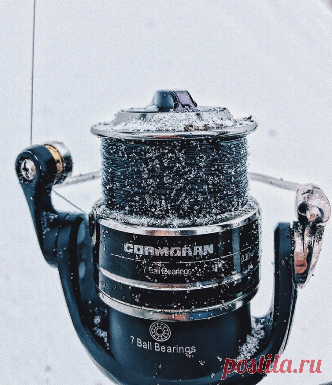 Лесные духи Шайтан-камня