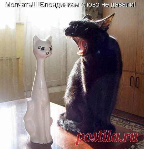 Новости