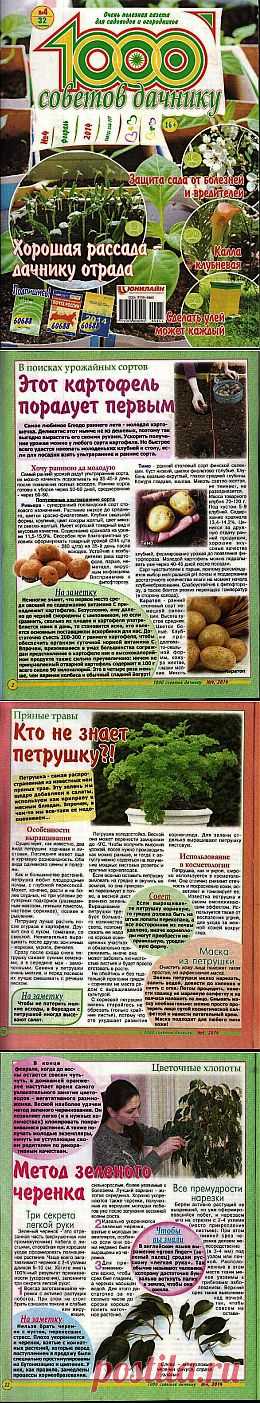 1000 советов дачнику №4 2014.