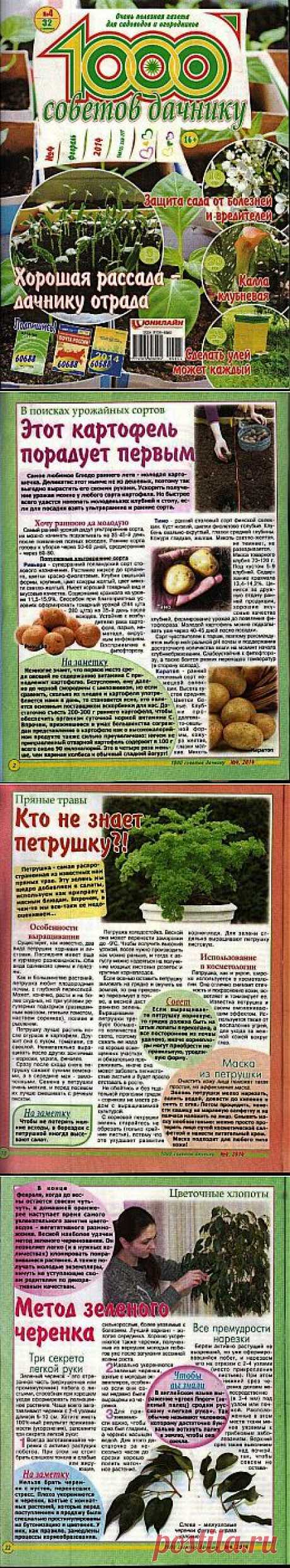 1000 советов дачнику №4 2014.