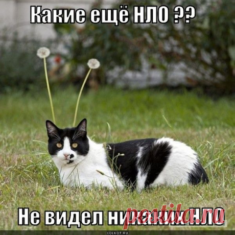 Это надо ж было момент поймать.Молодца!!!