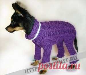 ВЯЗАНЫЙ КОМБИНЕЗОН ДЛЯ МАЛЕНЬКОЙ СОБАЧКИ.
Материалы: Сиреневая пряжа «Подмосковная» для ручного вязания 50% шерсть, 50% акрил, 100 г – 250 м. Материал из расчета на небольшую собаку, если собака больше, то и пряжи больше.

Используемые узоры: Итальянская резинка, Лицевая гладь, Звездочка, Коса.
Показать полностью…