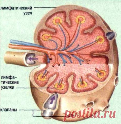 Без заголовка
