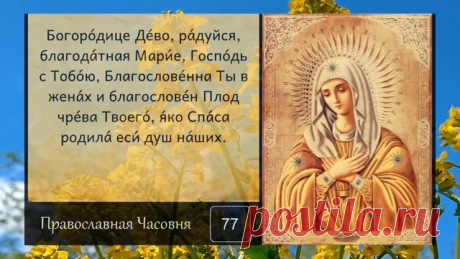 Молитва Богородице Дево радуйся  - 150 раз. The prayer Hail Virgin Mary Mother of God - 150 repeats Поддержка канала и ссылки: 
1. Поддержка из-за рубежа (Если Вы не из России) смотрим здесь: https://youtu.be/xQY0p6R5MUs
2. Поддержка из России:
1) На карту Сбер: 4276 4000 9538 8105 (ROMAN LUKIN - Роман Алексеевич Л.)
2) Регулярной суммой, 1 раз в месяц, через спонсорскую подписку на Бусти - как оформить можно посмотреть здесь: https://youtu.be/xQY0p6R5MUs

Наша страница дл...