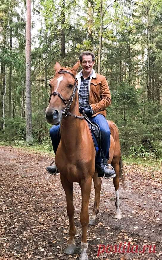 Дмитрий Фрид