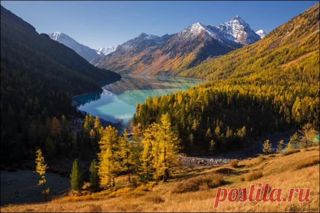 Золото Кучерлинского утра. - fotonik2