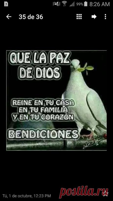 (101) BUENOS DIAS AMIGOS