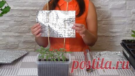 Простая и бесплатная подсветка для рассады и не только ...