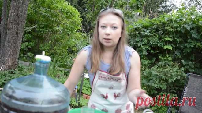 🍷 ВИНО из ЧЁРНОЙ СМОРОДИНЫ - ВКУСНЫЙ РЕЦЕПТ ПРОВЕРЕННЫЙ ВРЕМЕНЕМ 🍷