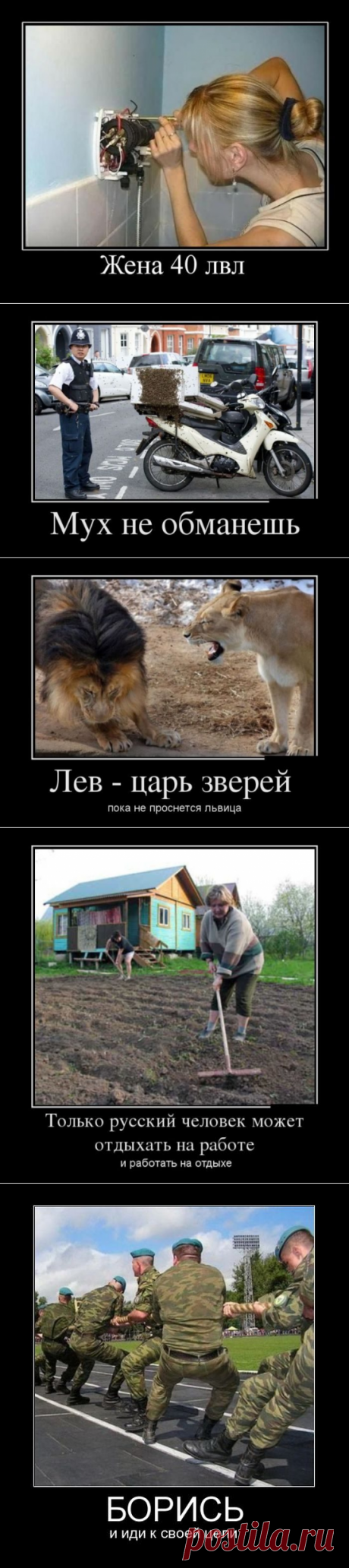 Демотиваторы в ассортименте / Приколы