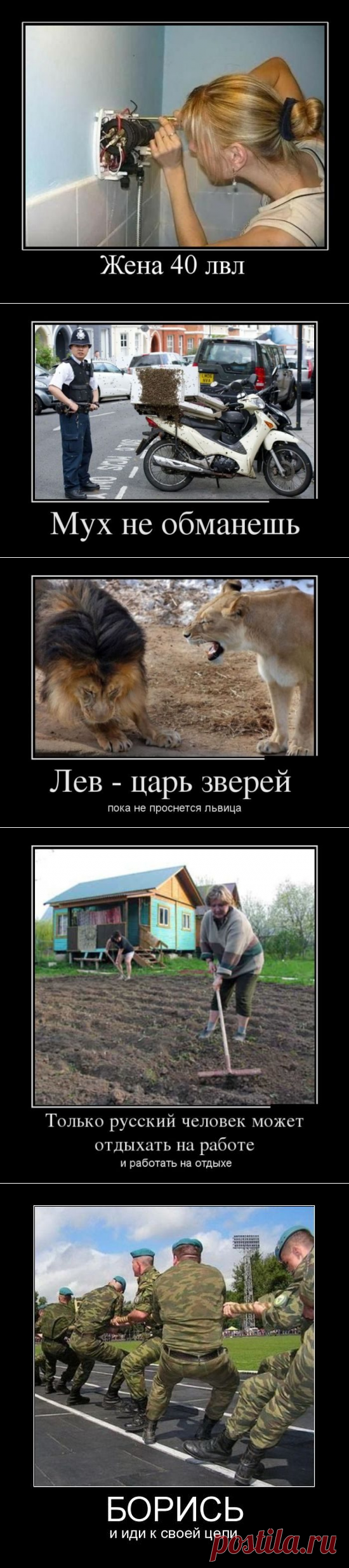 Демотиваторы в ассортименте / Приколы