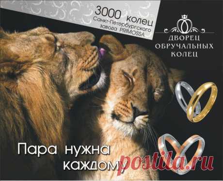 Дворец Обручальных Колец - истинно царское наслаждение!

https://cokgold.ru/stock/124/
