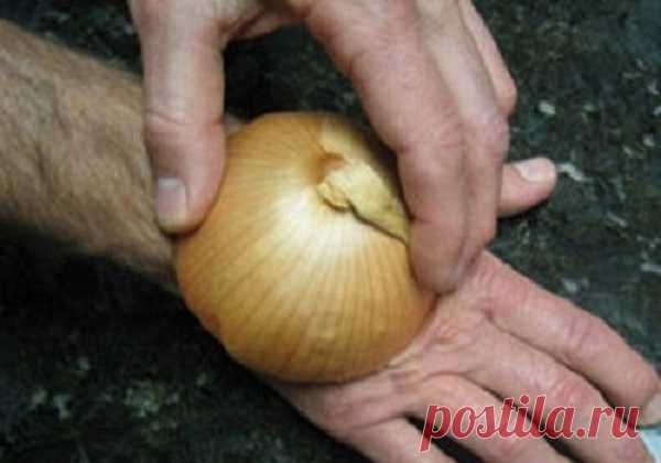 Способы использования лука — Делимся советами