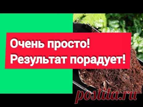 Удобрение за 2 месяца//Шалашик для рассады!