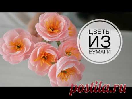 Paper Flower / Простые цветы из бумаги / DIY TSVORIC - YouTube