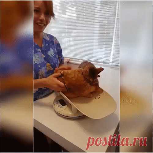 Одноклассники