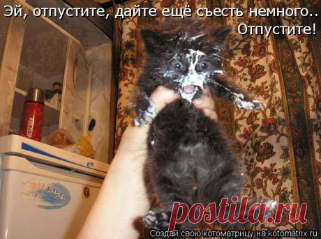 (1) Фото Хроники - Лидия Березовская