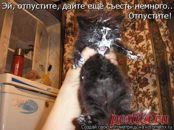 (1) Фото Хроники - Лидия Березовская