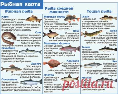 Гид по рыбам. Сохраняйте, пригодится