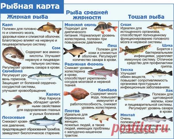 Гид по рыбам. Сохраняйте, пригодится