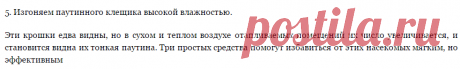 10 простых советов опытного цветовода - Экологическое землетворчество | Экологическое землетворчество