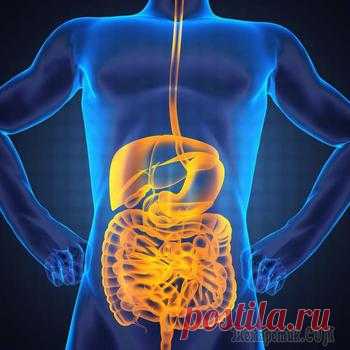 Признаки нездоровой печени: как помочь себе при помощи натуральных средств
