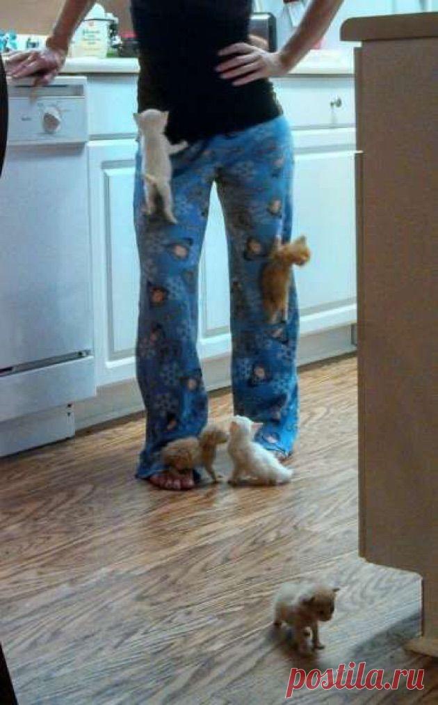 This is all I need in life