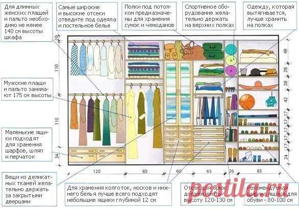 Svetlana Buklyarevich