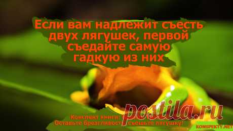 Если вам надлежит съесть двух лягушек, первой съедайте самую гадкую из них

#KONSPEKTYNET #цитаты #изкниг #бизнескниги #успех #дела #задачи #цели #мотивация #планирование #Трейси #БрайанТрейси