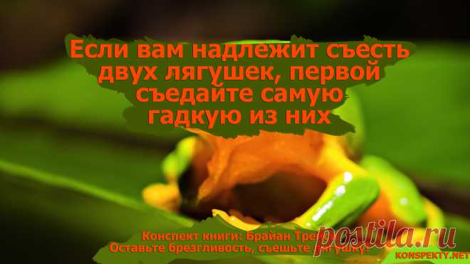 Если вам надлежит съесть двух лягушек, первой съедайте самую гадкую из них

#KONSPEKTYNET #цитаты #изкниг #бизнескниги #успех #дела #задачи #цели #мотивация #планирование #Трейси #БрайанТрейси